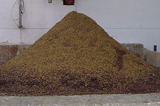 La biomasa con hueso de aceituna: qué es y cuáles son sus características